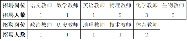 南京市中华中学2022年公开招聘编制外教师公告